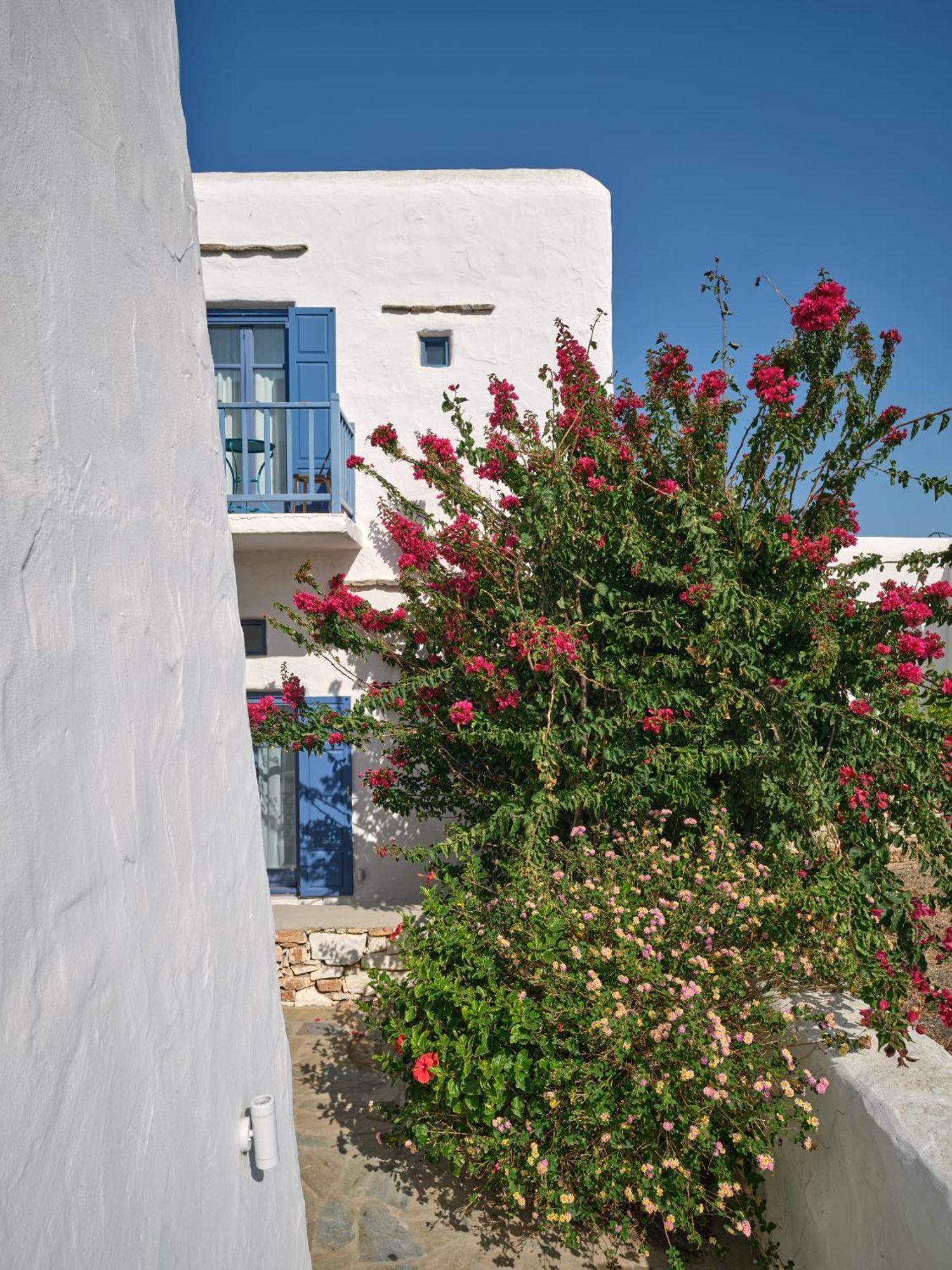 Amelie Villa With Pool And Amazing Sea Views, Paros Marpissa Exterior photo